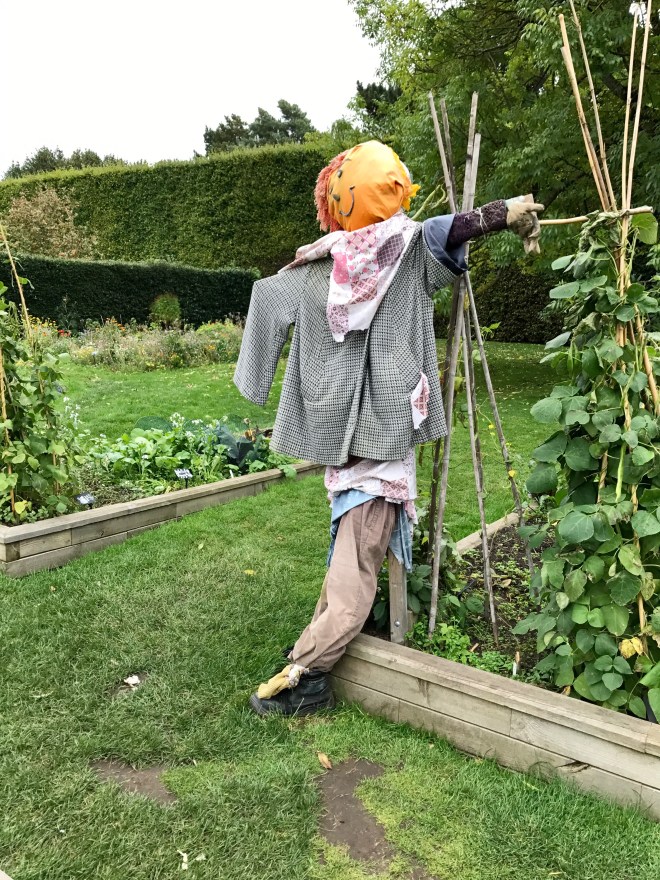 21ACC0A3-89CA-497C-93D0-DFF76BCF1481