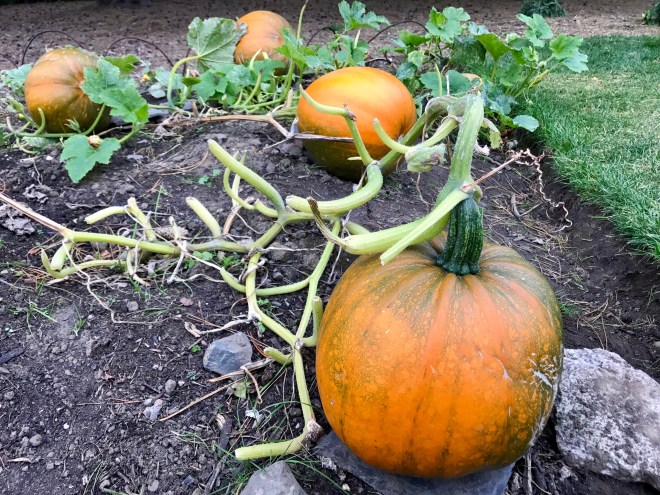 8B886D28-059D-4241-9C24-9C2D4DAE54CC